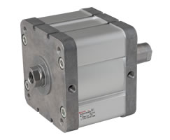 ISO kompakt çift etkili silindir, iç dişli, çift uçlu piston kolu, 125 mm çap, 60 mm strok