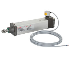 Cleanline silindir (valfsiz), 40 mm çap, 250 mm strok, ATEX sertifikalı