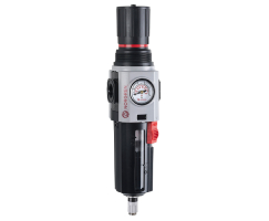 Excelon Plus filtre/regülatör, 3/4 NPT, 5 µm, 0,3-4 bar, otomatik tahliye, göstergeli
