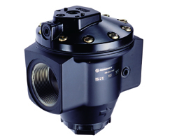 R18 Serisi pilot basınç regülatörü, G2, manometresiz