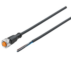 Konektör kablosu, 5 pinli M12 soket, açık uçlu, 3m kablo