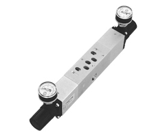 Çift basınç regülatör plakası, port 2 + 4 ayarlı