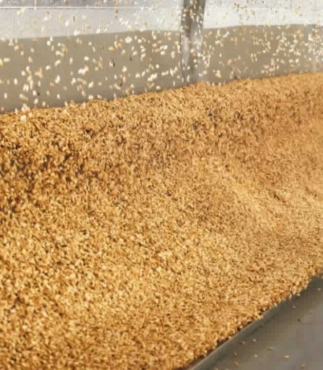 Gıda Ayırma için Lintra Silindirleri