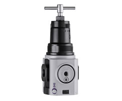 Excelon Plus genel amaçlı basınç regülatörü, 3/4 PTF, 0,7-17 bar, göstergesiz