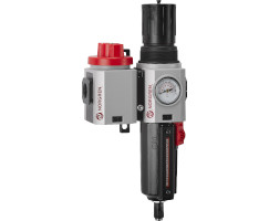 Excelon Plus filtre/regülatör ve kesme valfsı kombinasyon ünitesi, 1/2 PTF, braket ve göstergeli otomatik tahliye