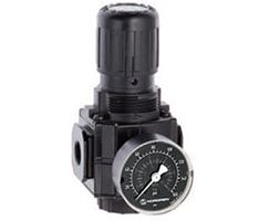 Excelon genel amaçlı basınç regülatörü, 1/2 PTF, 0,3-4 bar, göstergeli