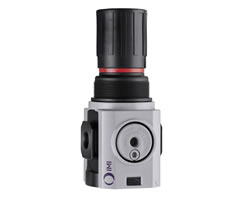 Excelon Plus genel amaçlı basınç regülatörü, 3/4 PTF, 0,3-4 bar, göstergesiz