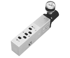 Tek basınç regülatör plakası, port 4 ayarlı