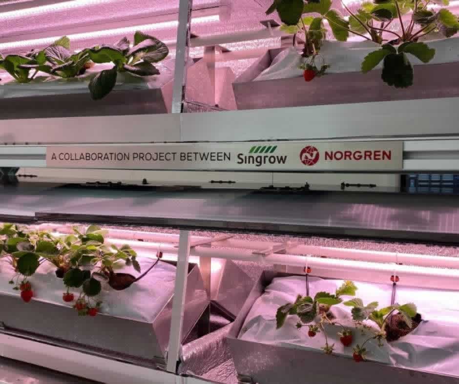 Kontrol bizde: Küresel zorlukların üstesinden gelmek için inovasyonu nasıl destekliyoruz?