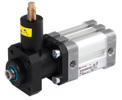 ISO kompakt çift etkili silindir, iç dişli, kilitleme ünitesi, 63 mm çap, 100 mm strok