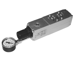 Tek basınç regülatör plakası, port 1 ayarlı